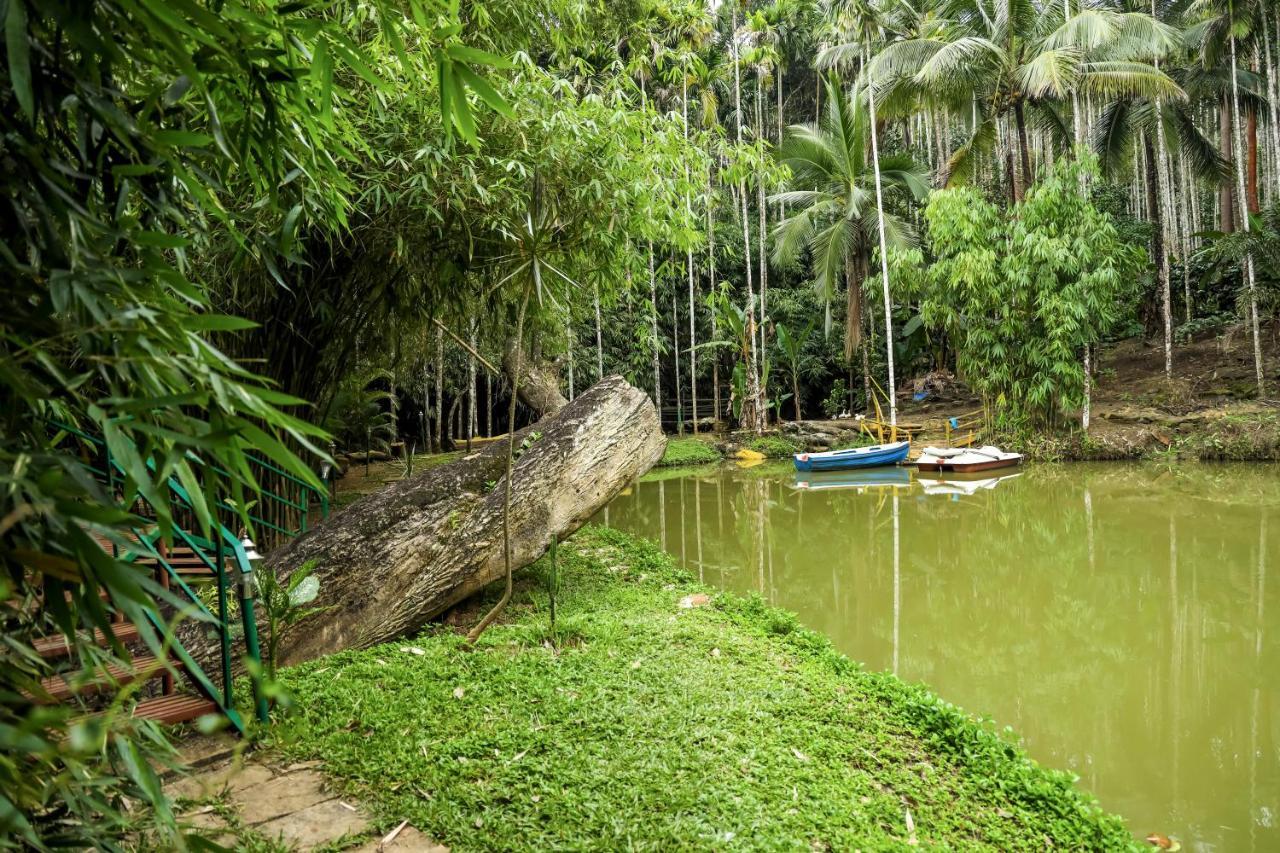 Bamboo Creek Resort Vaduvanchal Exteriér fotografie