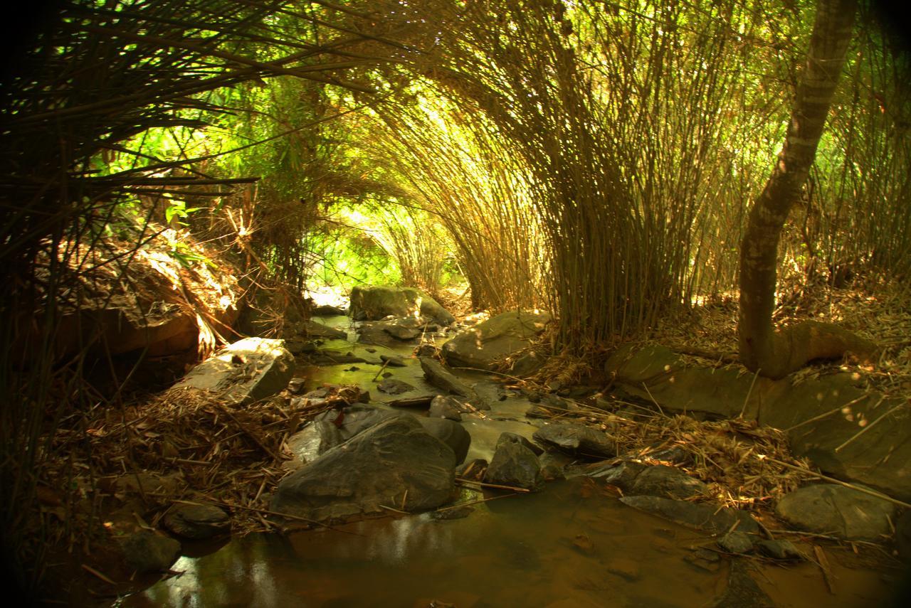 Bamboo Creek Resort Vaduvanchal Exteriér fotografie